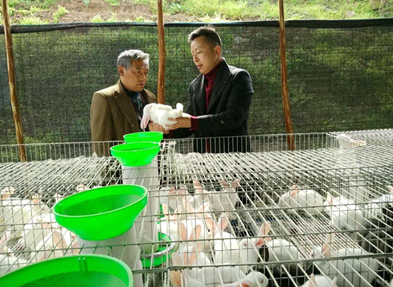 拉斯维加斯9888(中国区)官方网站